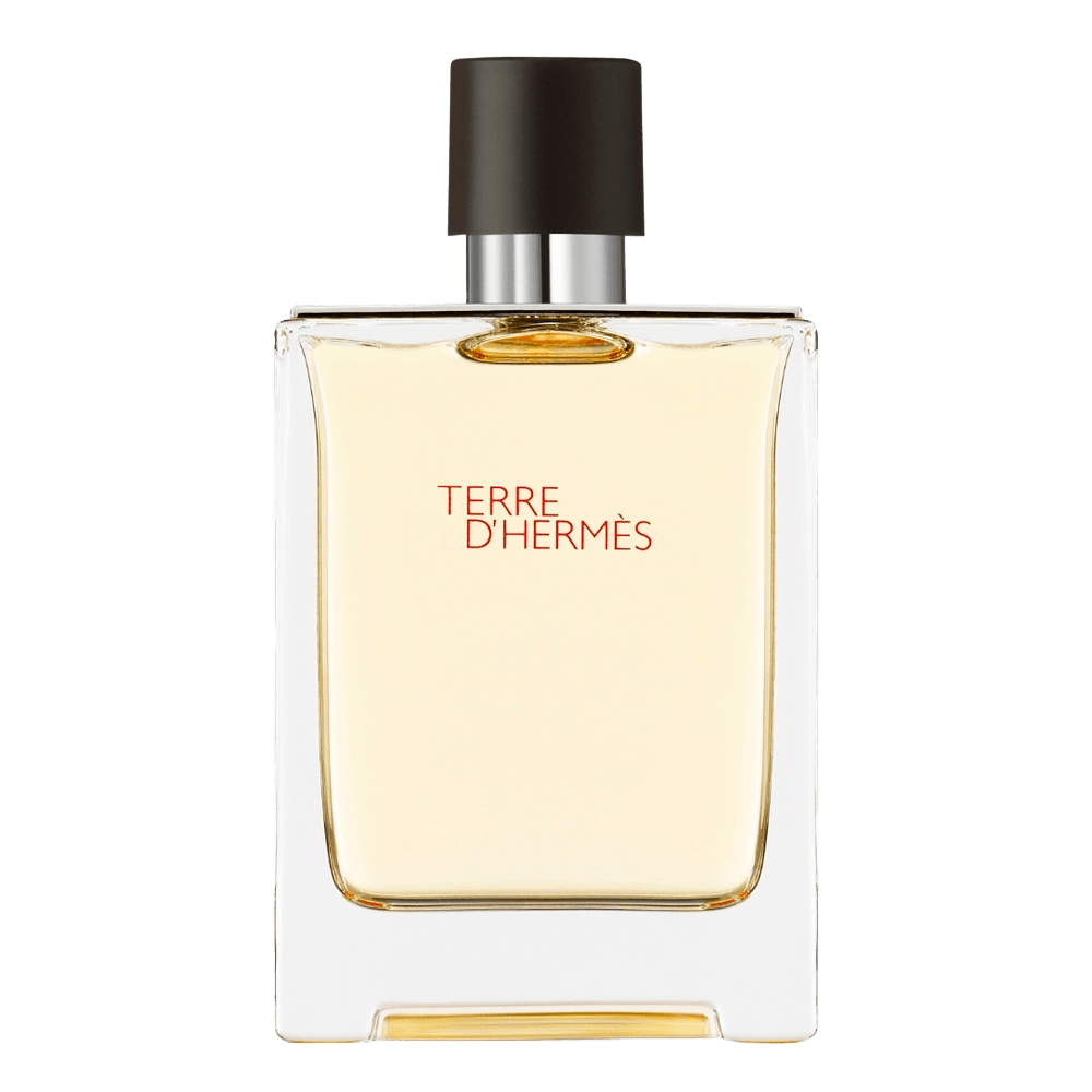 Perfume Hermes Terre D'hermes Masculino Eau de Toilette 100 ml Sepha